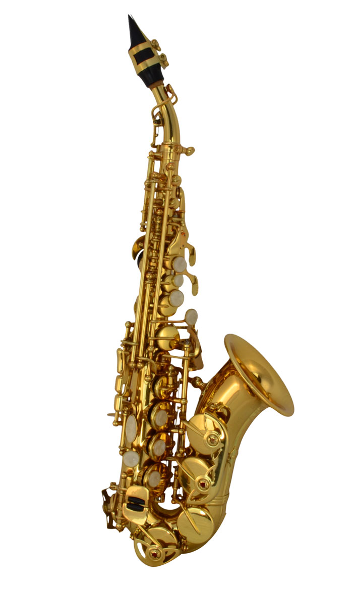 Curved Body Soprano Saxophone Case Saxophones